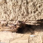 Reprise de soubassement. Pierre Terre, maçonnerie du bâti ancien, éco-construction basée à Sens de Bretagne en Ille-et-Vilaine (35). Elle intervient principalement sur une zone géographique s’étendant entre Rennes et son agglomération, Combourg, Fougères et Saint Aubin du Cormier. Travail sur la terre (bauge, torchis, adobes) ou la pierre, ainsi que sur les enduits et d'autres prestations telles que les complexes de sol (hérisson isolé et non isolé, dalle de chaux, chape et terre cuite.